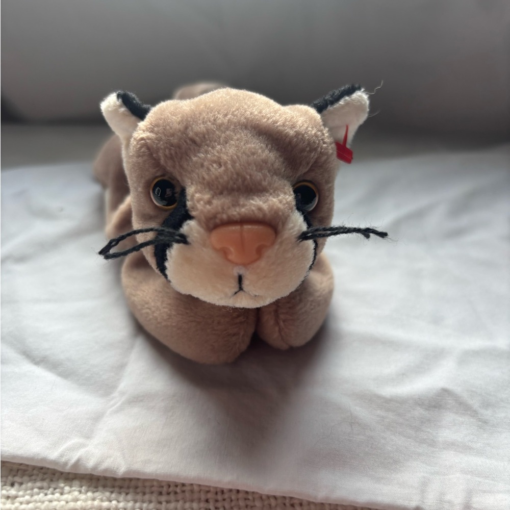 Ty Canyon Beanie Baby 1998 Retired NO HANG TAG